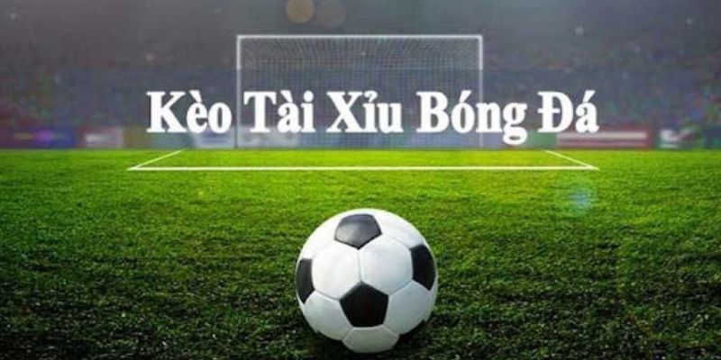 Các kèo bóng đá phổ biến nhất hiện nay được bet thủ yêu thích